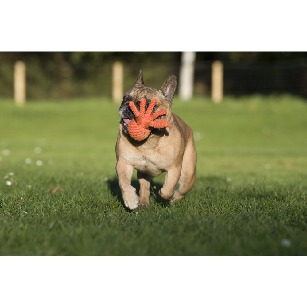 Peluche Douglas Cuddle Toys – Piccolo Polpo Arancione/Rosso 'Spiney'