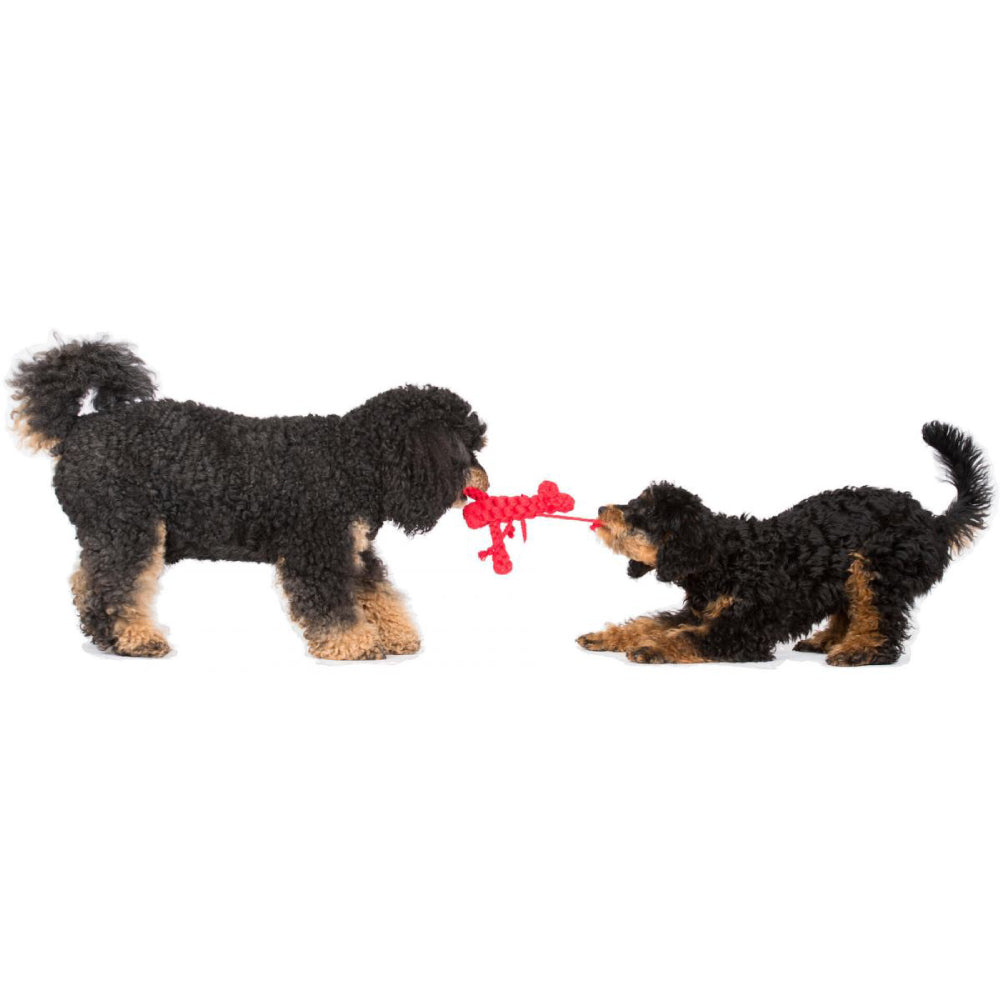 Aragosta - Giocattolo di Corda per Cani | Strillone Society