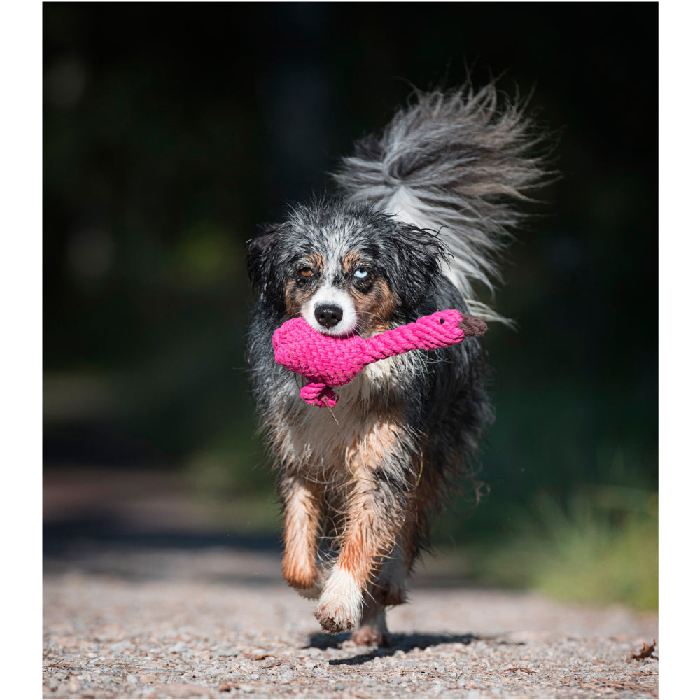 Fenicottero - Giocattolo di Corda per Cani | Strillone Society