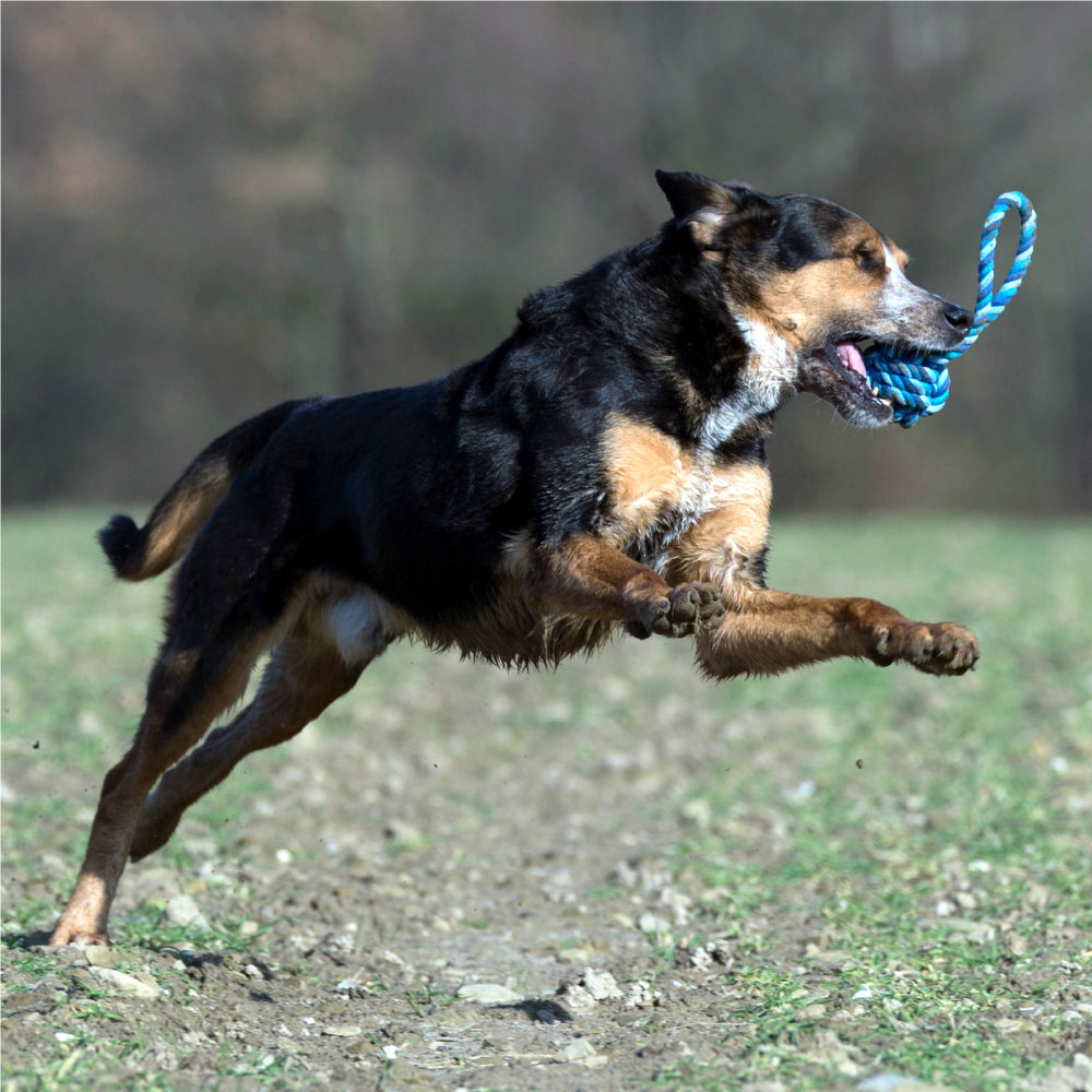Giocattolo di Corda per Cani - Maxi  | Strillone Society