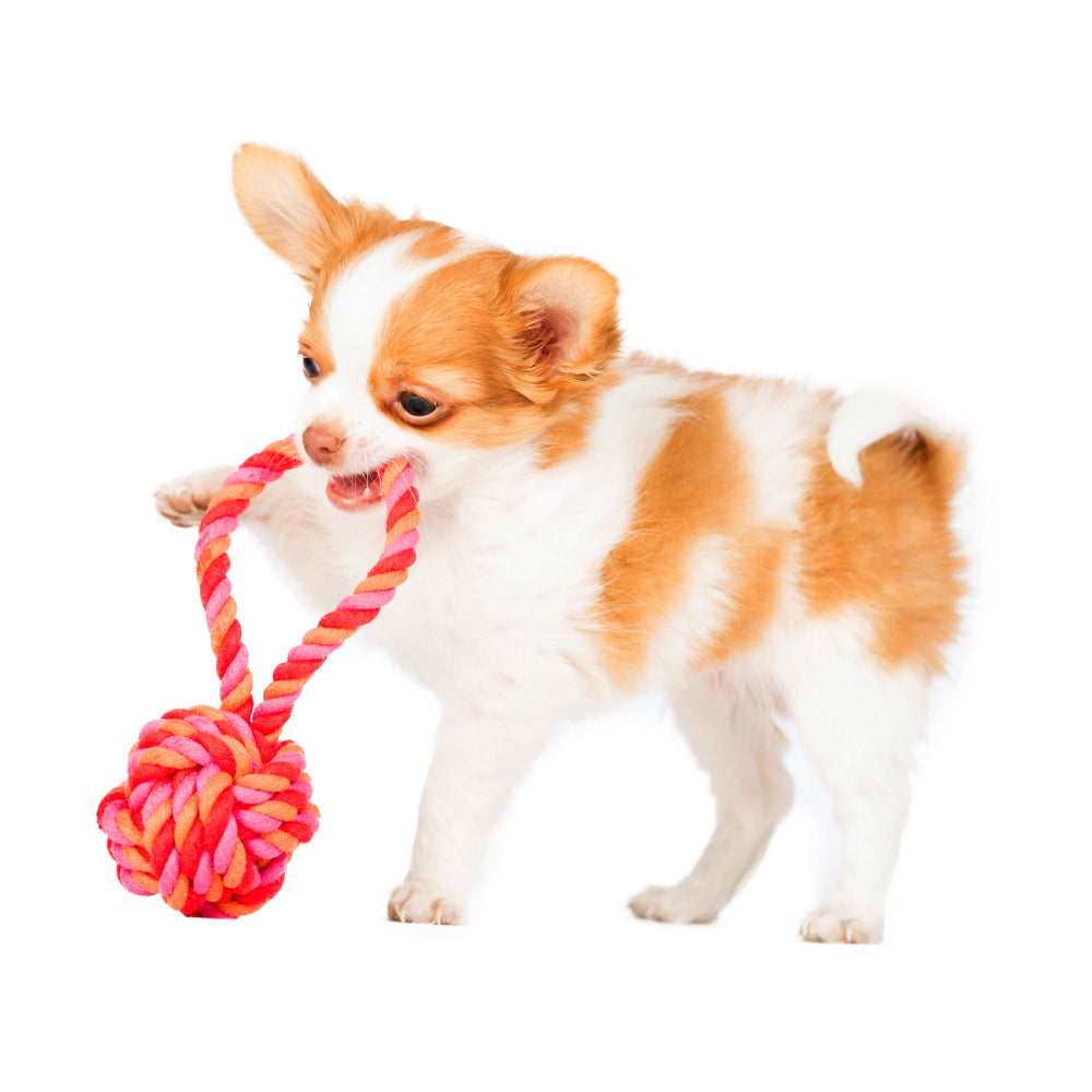 Giocattolo di Corda per Cani - Mini  | Strillone Society