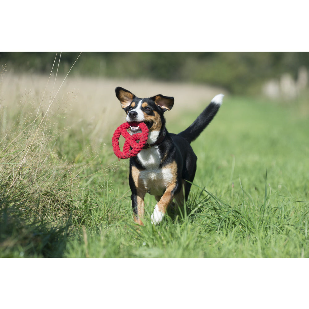 Simbolo Pace - Giocattolo di Corda per Cani | Strillone Society