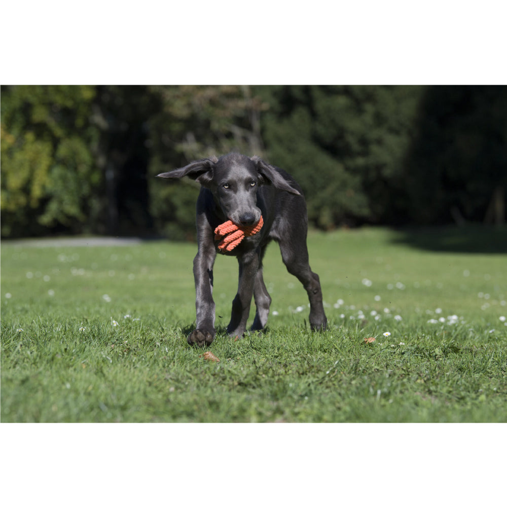 Polpo - Giocattolo di Corda per Cani | Strillone Society