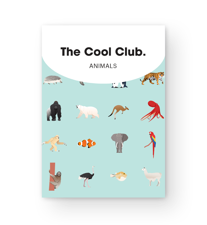 mazzo di carte da gioco animali, the cool club